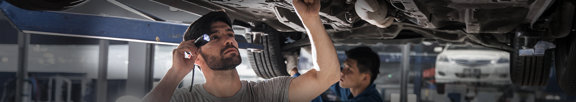 Descripción de la imagen