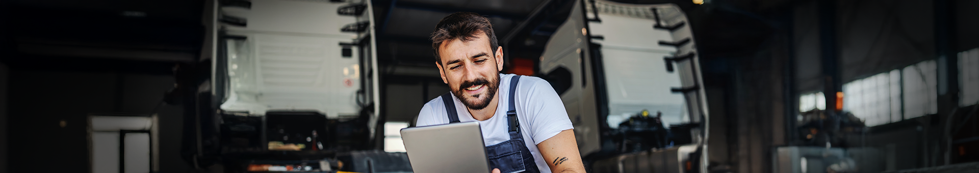 Descripción de la imagen